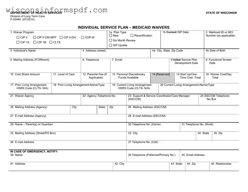 Fill Your Individual Service Plan Wisconsin Form