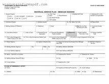 Fill Your Individual Service Plan Wisconsin Form